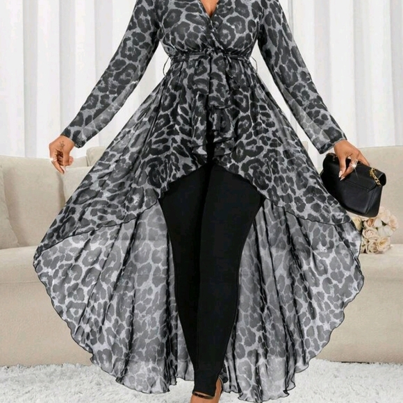 Leopard Print High-Low Dress - Picture 7 of 8